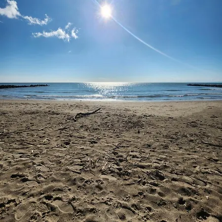 Apartment 2 Lits Double T2 Sur Port Clim Parking Prive 2mn Plages